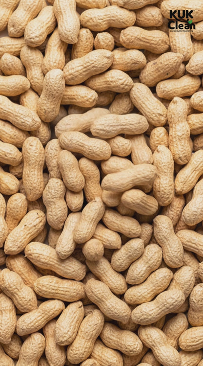 Chocolate Peanut Butter (250 gms )